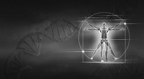 科学家尝试破译达芬奇DNA