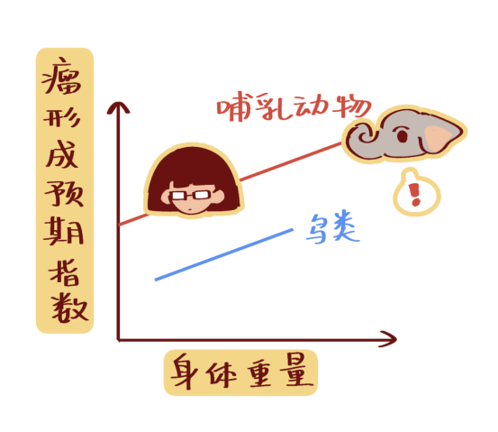 来自深海的“抗癌秘籍”：自带“DNA修复引擎”的“长寿冠军”