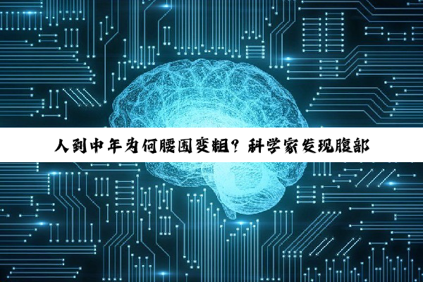 人到中年为何腰围变粗？科学家发现腹部脂肪增加的细胞元凶