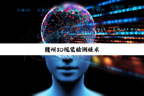 赣州3D视觉检测技术