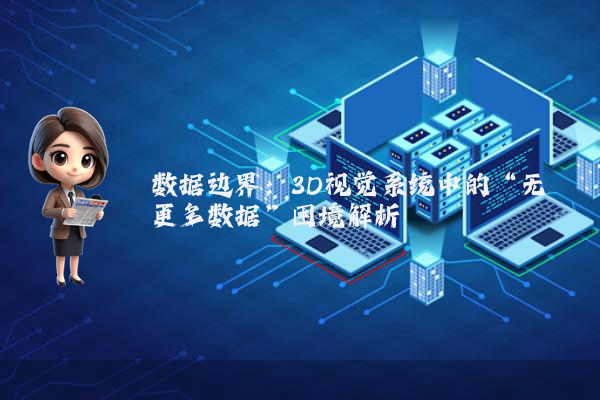数据边界：3D视觉系统中的“无更多数据”困境解析