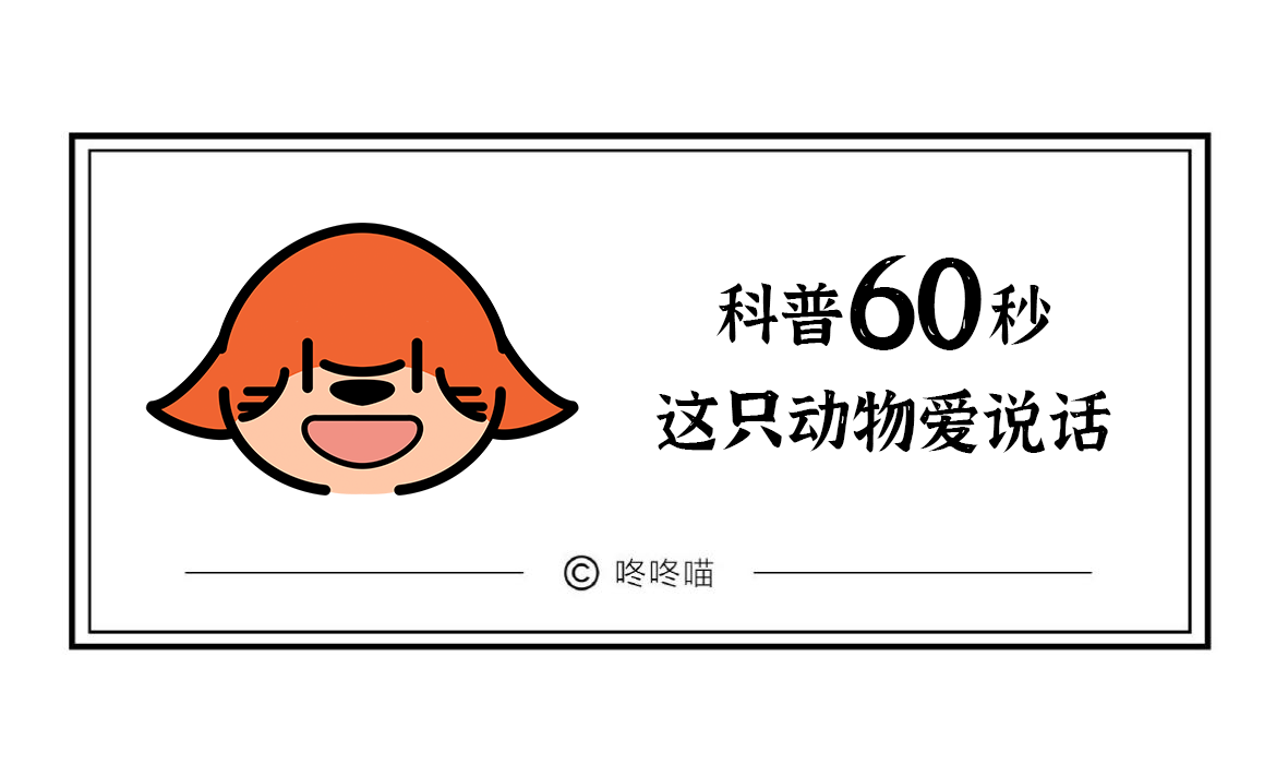 海豚：听说人工智能很发达，动物智能你们研究透了吗？