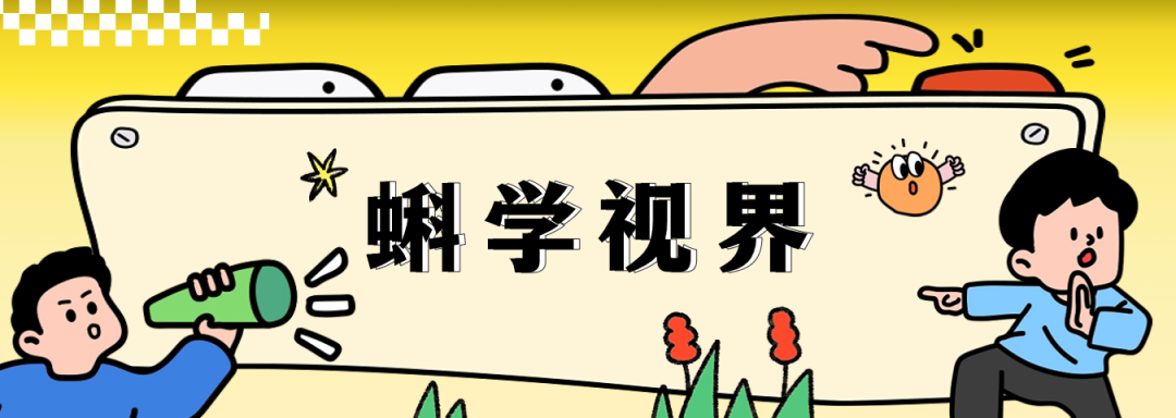 通算、智算、超算……都该怎么算？