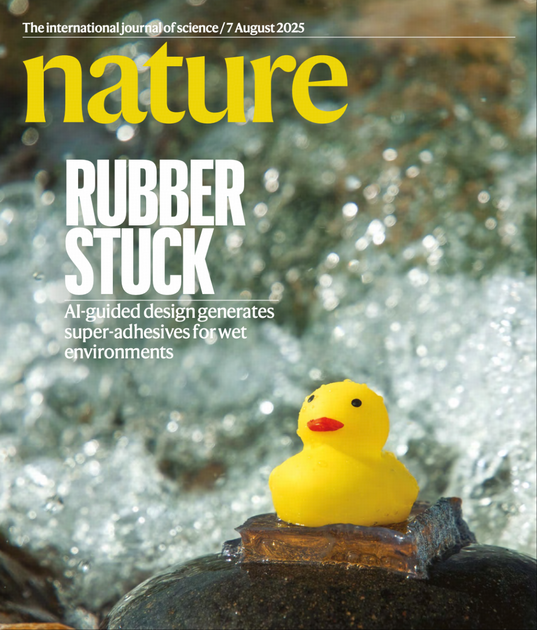 Nature最新研究：AI“造”水凝胶，粘连一切？
