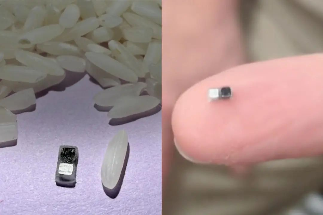 用光遥控心跳，靠体液自供电，这个还没米粒大的仪器是什么黑科技？