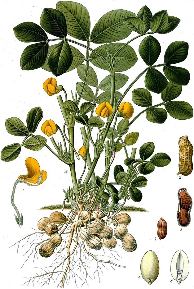 图(tú)片(piàn)