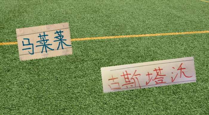 大连英博挤进前3！马莱莱越位进球被吹