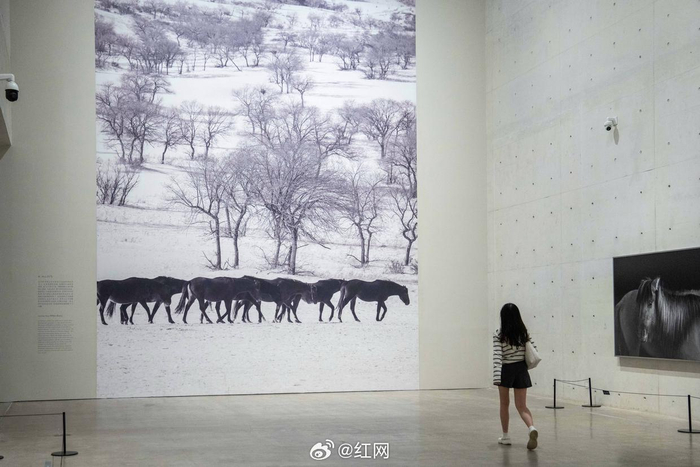 长沙市民国庆假期艺术场馆观展，感受视觉艺术独特魅力